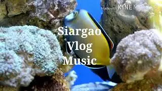 Technology - Siargao  Vlog Music(No Copyright Background Music)#Freetouse #VlogMusic