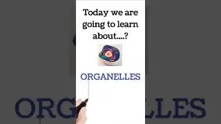 Cell Organelles  #cell #biology #cdpo #tnpscgroup2  #foodtech #science  #knowledge