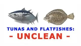 TUNA AND FLATFISHES: UNCLEAN