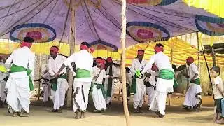 Dandari Chachoy Dance | Adivasi Cultural Festival at Toyaguda | Chinna Malle Borigam Traditions