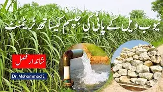 Tubewell Water Treatment with Gypsum | Irrigation Water Quality Improvement | Soil Reclamation