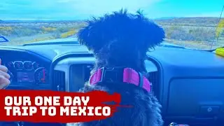 Our One Day Trip to Mexico