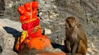 संत की सादगी