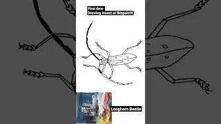 Tried to Drawing Insect on IbispaintX 23/02/66 #drawing #art #ibispaintx #beetle #insects #วาดรูป