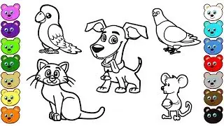 Home Animals Coloring Pages