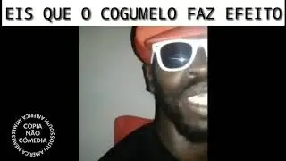 EIS QUE O COGUMELO FAZ EFEITO