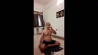 Surya Namaskar Hatha Yoga Pranayama Sun Salutation Indian Traditional Exercise  Breathing Exercise