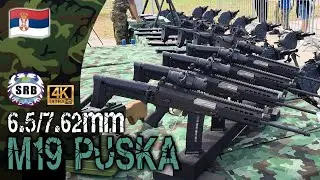 Automatska modularna pu&scaron;ka M19 6.5mm/7.62mm
