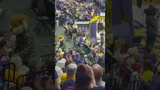 Mike&rsquo;s GOT MOVES #danceoff #mascot #lsu #tiger #pmac #shorts #womensbasketball ​⁠#basketball #hoops