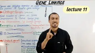 Gene linkage/linkage group short lecture in hindi and urdu by Aizaz biology walla.