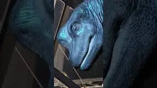Roars, Raptors & T-Rex: The Jurassic Park Experience! 🦖