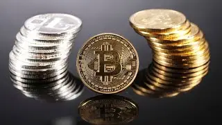Bitcoin Jumps on Another Musk Tweet