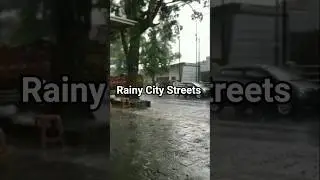 Rainy City Streets #rain #rainsounds #relaxing #music #wind #nature #rainandwind #thewindnature