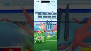 Mega Swampert solo raid