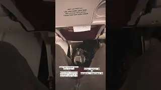 Flying with My Husky from Qatar 🇶🇦 to Thailand 🇹🇭
