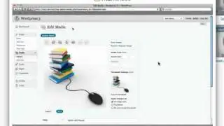 WordPress Video User Manual In Action