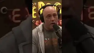 Why #ElonMusk rejected #SamBankmanFried 🫡? #shorts