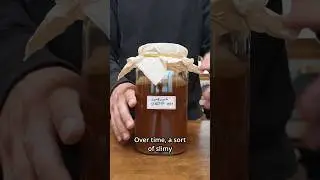 MAKE YOUR FIRST KOMBUCHA