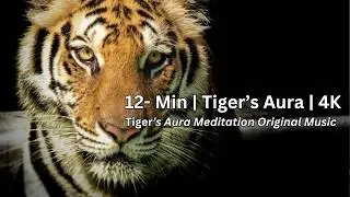 The Tiger's Aura - 12-Mins in 4K with Original Tiger Music