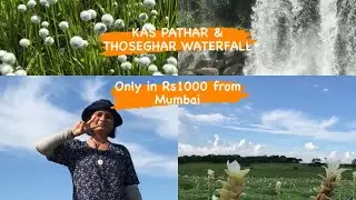 KAS PATHAR & THOSEGHAR WATERFALL ONE DAY TRIP FROM MUMBAI #satara #maharashtra #India