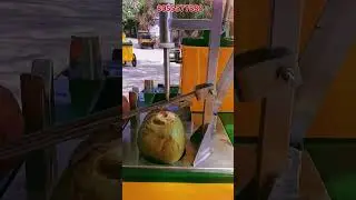 కొబ్బరి బొండాల బండి | Coconut Cart | Sgk industries #foodbusiness