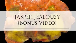 Jasper Jealousy