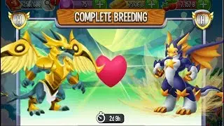 Breeding: Dracon Dragon & High Star Dragon | Dragon City [Exclusive Breeding]