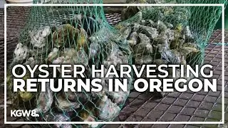 FDA warns of toxins in Oregon and Washington shellfish, affecting local businesses