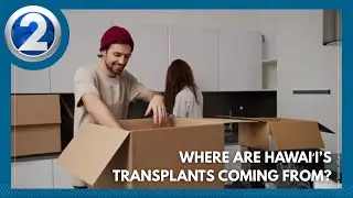 Top 20 states people are fleeing to become Hawaiʻi transplants