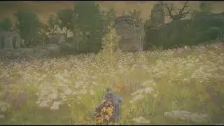 Shaman Village Elden Ring DLC