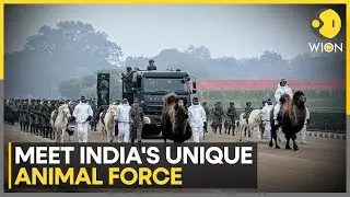 Republic Day 2026: From Battlefields to Kartavya Path Four-Legged Warriors to Debut at R-Day Parade