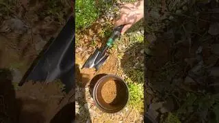 Say Goodbye to Back Pain with This Long-Handle Spade!🌿#GardenTools #ToolTok #BackSaver #GardenLife