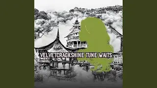 Velvetcrackshine Tune Waits
