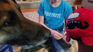 Unboxing 3 Crates With My Kids