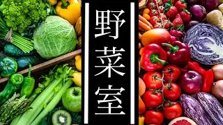 【第22回】野菜室 Vol.1
