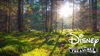 Disney Treasures: Tiny Town Teaser!
