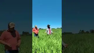 Realizamos uma tarde de campo sobre a Braqui&aacute;ria Dunamis 
