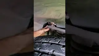 1996 ford ranger  p0133 code