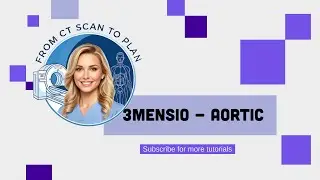 CT Scan to Plan   Introduction to CT Imaging Software (3Mensio)