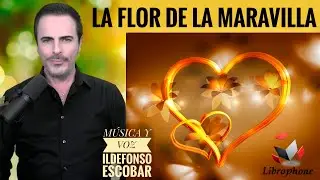LA FLOR DE LA MARAVILLA - JOS&Eacute; SELGAS Y CARRASCO - POES&Iacute;A DIARIA VERTICAL