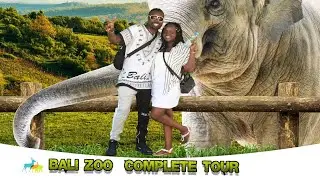 Bali Zoo Full Tour: Experience the Ultimate Epic Adventure