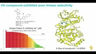 MMC-IV. The importance of innovative chemical synthesis... Iain Simpson