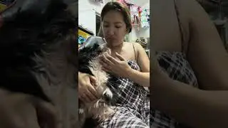 MAY UBO SI RAIKO | GAMOT SA UBO SA ASO | PAANO PATIGILIN ANG REVERSE SNEEZING