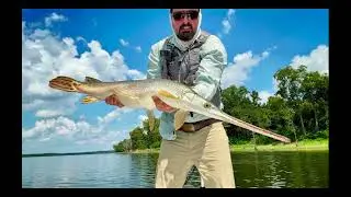 2025 Golden Gar Short Film - Fly Fishing for Gar