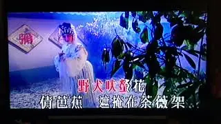 牡丹亭驚夢之倩女魂 | cover by 嘉菲