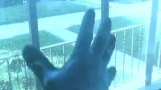 Dr Claw 74