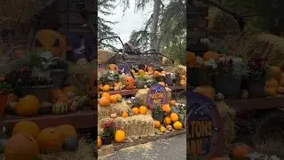 🎃 Идеальный семейный день в это жуткое время года 👻 &mdash; Paultons Park