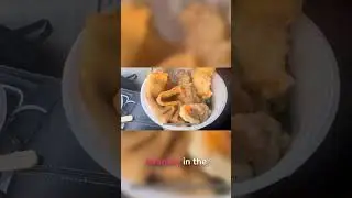 Udon Soup First Look! Fish Cake & Tempura