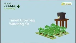 Automatic Growbag Watering Kit