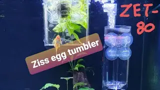 Review on Ziss Zet-80 Egg Tumbler